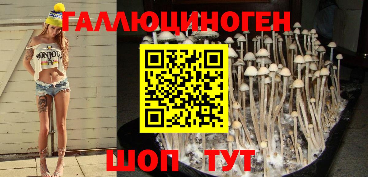 Тимашёвск  Псилоцибиновые грибы мухоморы  наркота  Галлюциногенные грибы прущие грибы  Вход с VPN 